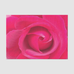 Papel De Seda Rosa Rosa Roja Romántica