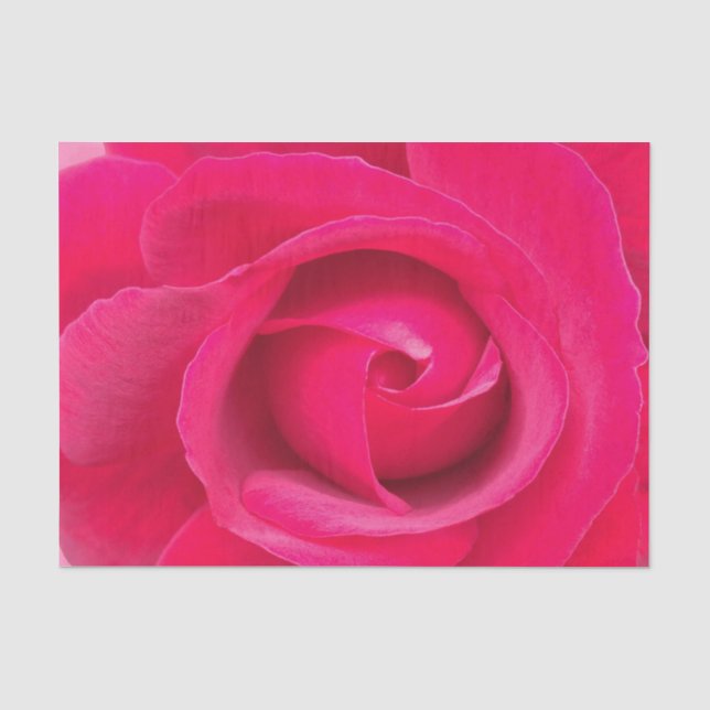 Papel De Seda Rosa Rosa Roja Romántica (Anverso)