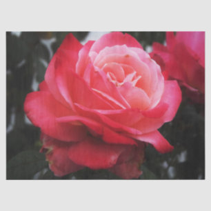Papel De Seda Rosa Salmon único