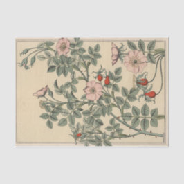 Papel De Seda Rosa salvaje, serie botánica de Eugene Grasset