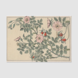 Papel De Seda Rosa salvaje, serie botánica de Eugene Grasset
