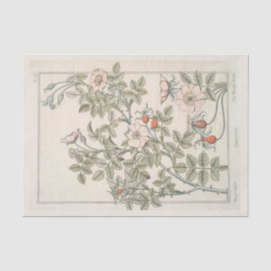 Papel De Seda Rosa silvestre descomposición de la vendimia oral