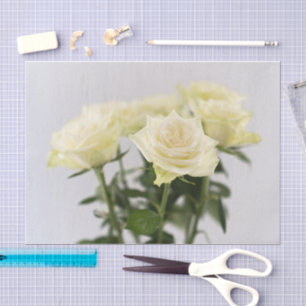 Papel De Seda Rosas Blancas Elegantes Con Tallos Verdes Fotograf