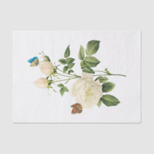 Papel De Seda Rosas Blancas Vintage #1 Mariposas Flores Floral