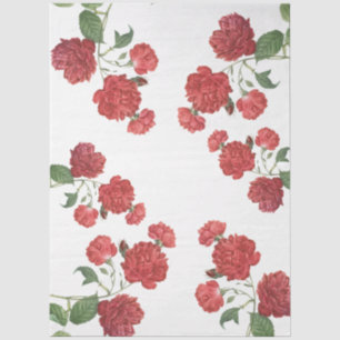 Papel De Seda Rosas de Col Repollo