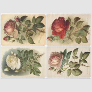 Papel De Seda Rosas de época