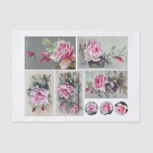 Papel De Seda Rosas de Klien (1820-1929) (Anverso)