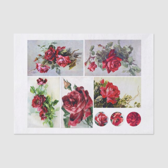 Papel De Seda Rosas de Klien (1820-1929) (Anverso)