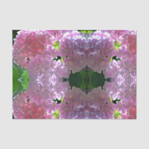 Papel De Seda Rosas elegantes de flores de color rosa suave de h