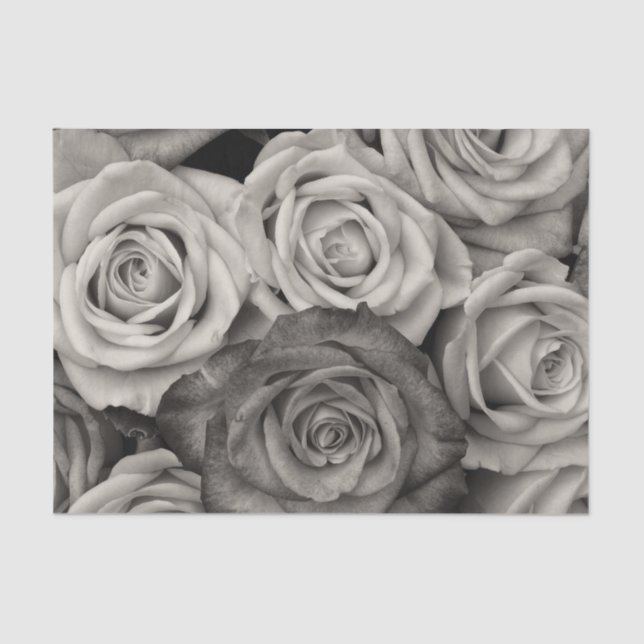 Papel De Seda Rosas en blanco y negro (Anverso)