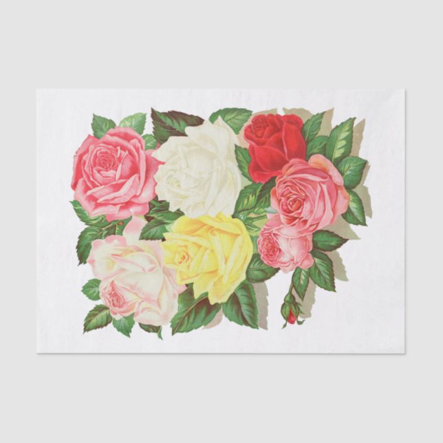 Papel De Seda Rosas Floral rosa de flor roja amarilla roja roja  (Anverso)