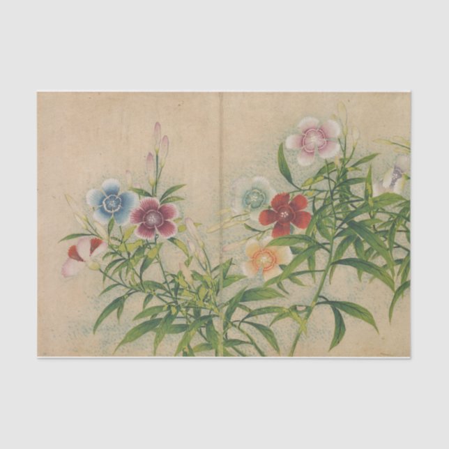 Papel De Seda Rosas por Zhang Ruoai (Anverso)
