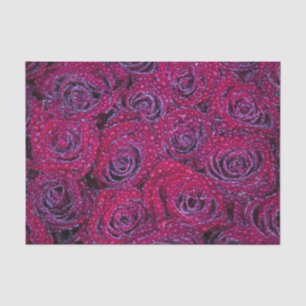 Papel De Seda Rosas púrpura exuberantes y caídas de lluvia