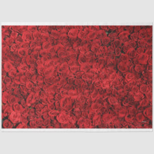 Papel De Seda Rosas rojas HAMbyWG