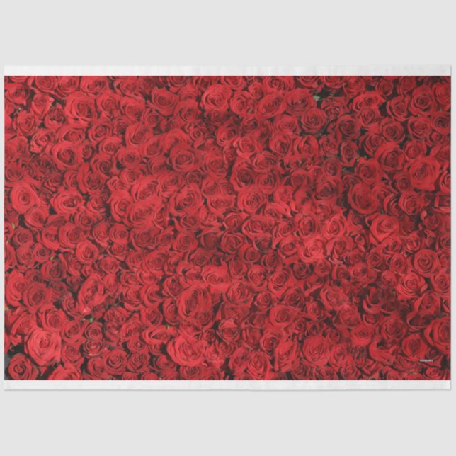 Papel De Seda Rosas rojas HAMbyWG (Anverso)