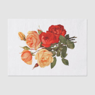 Papel De Seda Rosas Rojo Melocotón Naranja Flores Floral