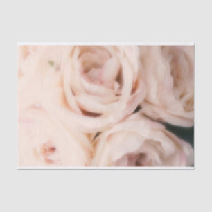 Papel De Seda Rosas rosadas suaves y cremosas elegantes bodas   