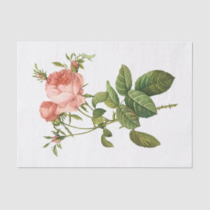 Papel De Seda Rosas rosadas vintage #1 Flores Floral