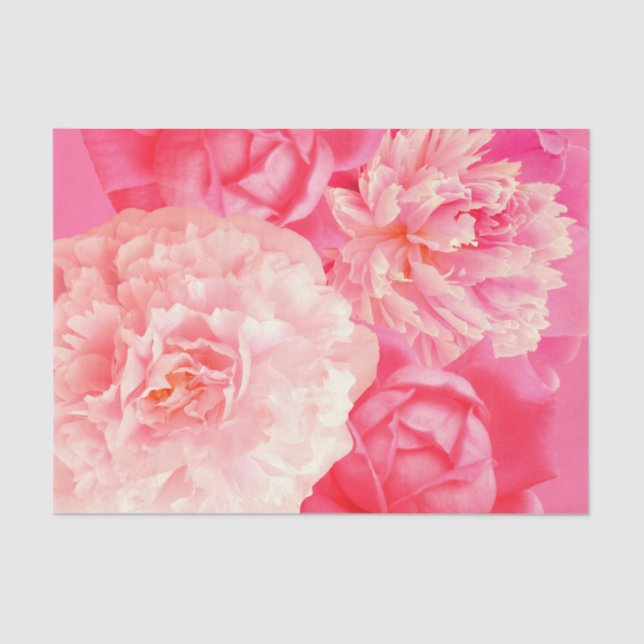 Papel De Seda Rosas rosados de los Peonies del melocotón del (Anverso)