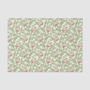 Papel De Seda Rosas rosas rosas en crema