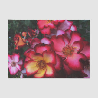 Papel De Seda Rosas silvestres