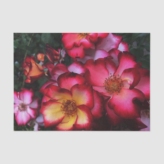 Papel De Seda Rosas silvestres (Anverso)