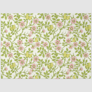 Papel De Seda Rosas silvestres y mariposas /rosa/verde pálido/am