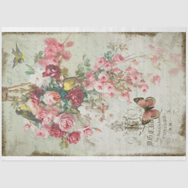 Papel De Seda Rosas Traînantes Roses rosados y Desnudos Aves (Anverso)