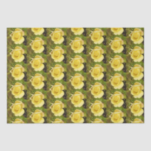 Papel De Seda Rosebud amarillo