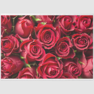 Papel De Seda Roses rojos