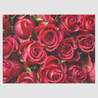 Papel De Seda Roses rojos