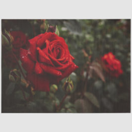 Papel De Seda Roses Rojos Hermosa Floral 20x30 Decoupage