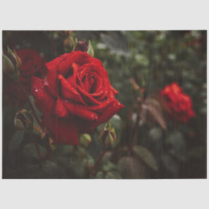 Papel De Seda Roses Rojos Hermosa Floral 20x30 Decoupage