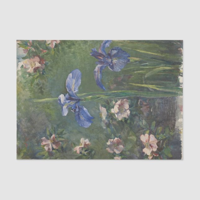 Papel De Seda Roses rosadas y floral de Bonito de iris morado (Anverso)