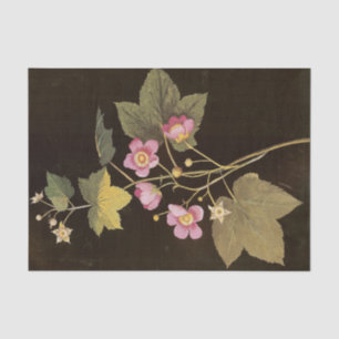 Papel De Seda Rubus Odoratus por Mary Delany