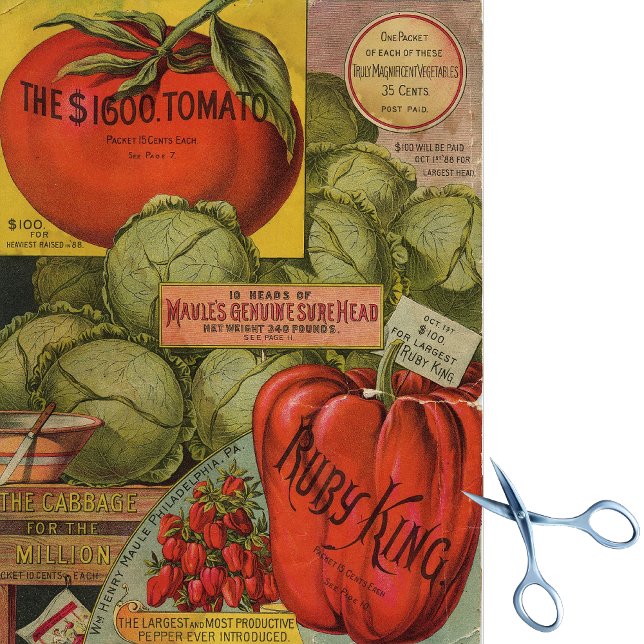 Papel De Seda Ruby King del catálogo de semillas antiguas Maule (Subido por el creador)