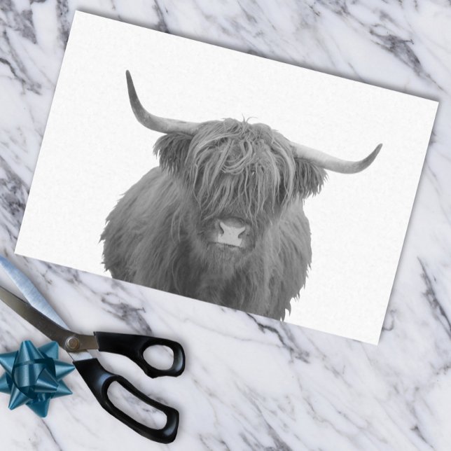 Papel De Seda Rústica blanca negra de la vaca Highland (Subido por el creador)