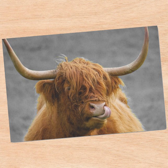 Papel De Seda Rústica blanca negra de la vaca Highland (Subido por el creador)