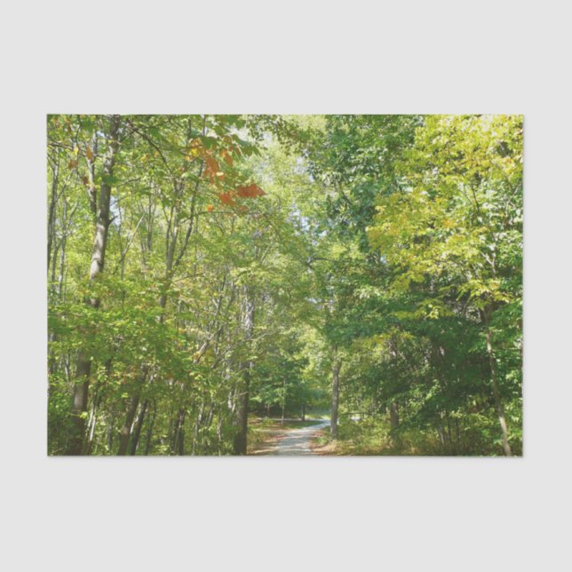 Papel De Seda Ruta Centenaria Maderada en la Naturaleza de la Ci (Anverso)