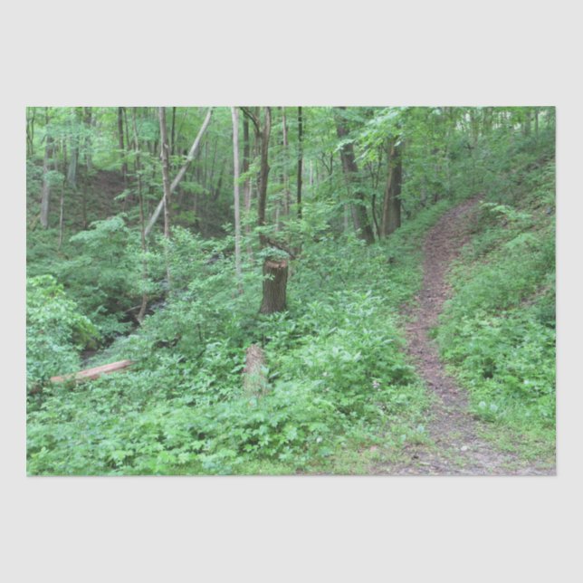 Papel De Seda Ruta de la montaña (Anverso)