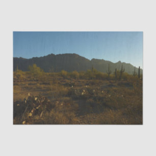 Papel De Seda Saguaro Amanecer en el Parque Nacional Saguaro