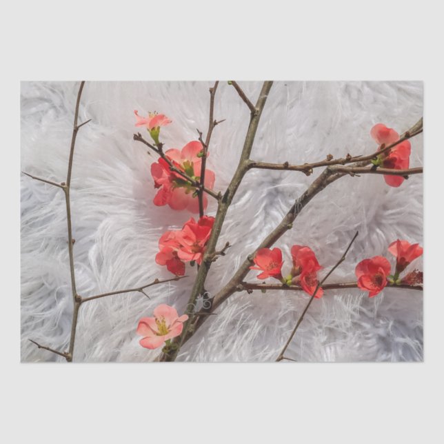 Papel De Seda Sakura (Anverso)