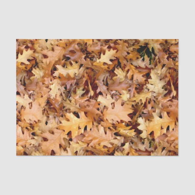 PAPEL DE SEDA SALIDAS DE AUTUMN (Anverso)