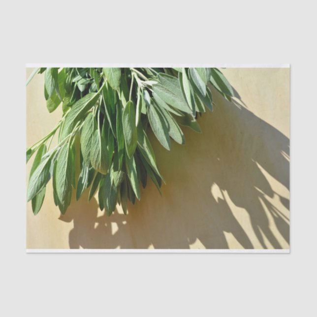 Papel De Seda Salto de corte fresco (Anverso)