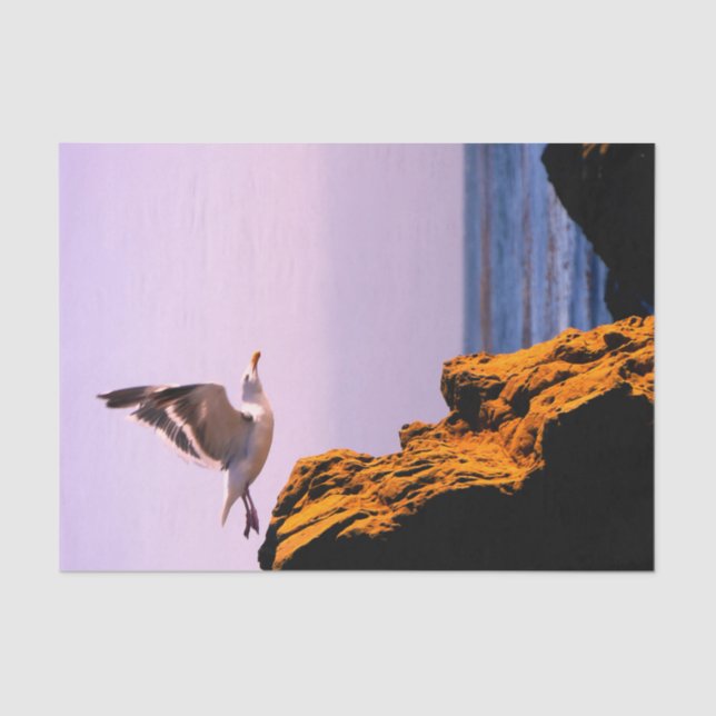 Papel De Seda Saltos de gaviota (Anverso)