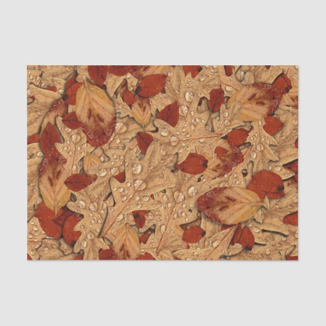 Papel De Seda Saltos de otoño de la mañana (Anverso)
