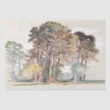 Samuel Colman | Los pinos de El Monte...