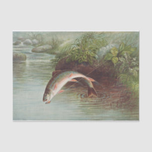 Papel De Seda Samuel Kilbourne Arrugas saltantes - 1874