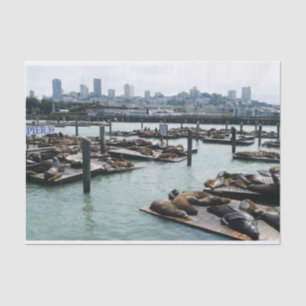 Papel De Seda San Francisco y leones marinos de Pier 39 Panorama