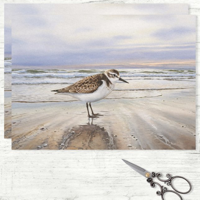Papel De Seda Sandpiper en el Beach Bird Art Decoupage (Subido por el creador)